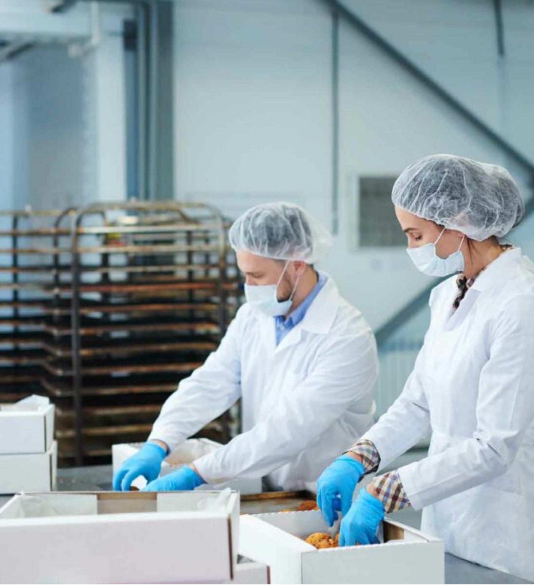 Alimentos y manufactura regional
