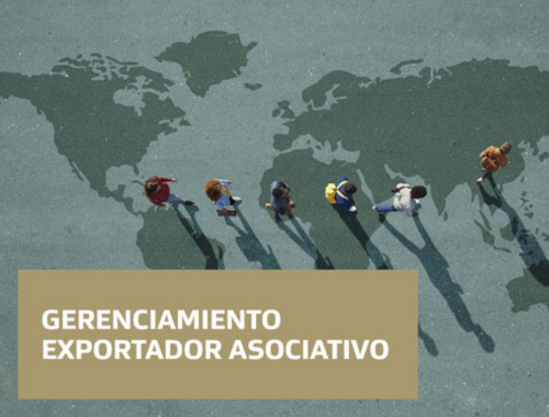 Leia mais sobre o artigo Nova convocatória: Programa de Gestão Exportadora Associativa