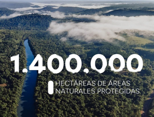 Leia mais sobre o artigo Misiones conseguiu a convalidação nacional do seu Plano de Resposta às Mudanças Climáticas