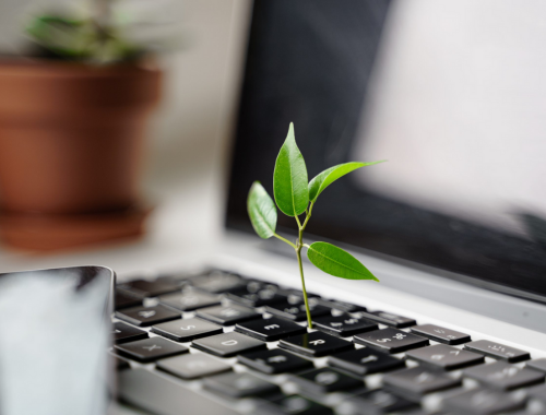 Leia mais sobre o artigo Argentina avança rumo a um mercado de carbono digital: transparência, rastreabilidade e novas oportunidades