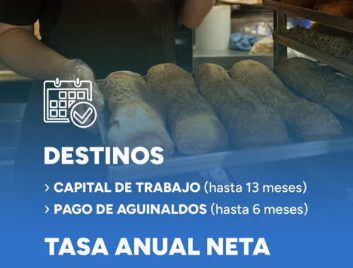 Lee más sobre el artículo Misiones lanza una nueva línea de crédito para impulsar su industria