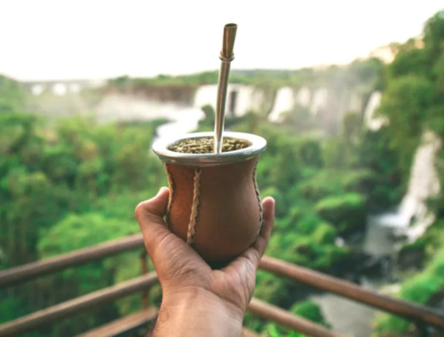 Leia mais sobre o artigo Misiones lidera a cadeia da erva-mate com um modelo inclusivo e territorial