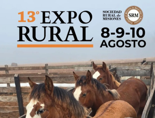Lee más sobre el artículo 13° EXPO RURAL: una nueva edición para potenciar el desarrollo productivo regional