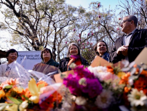 Leia mais sobre o artigo Misiones impulsiona a floricultura com créditos sem juros para produtores