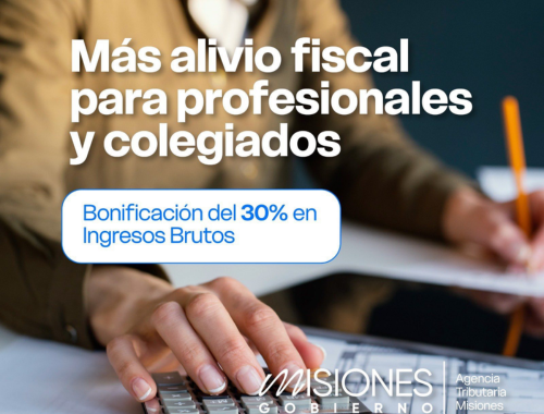 Lee más sobre el artículo Bonificación del 30% en Ingresos Brutos para profesionales en Misiones