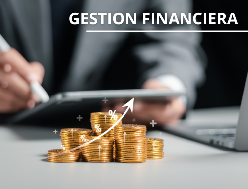 Lee más sobre el artículo Gestión financiera efectiva: Claves y enfoques estratégicos